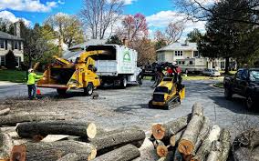 Best Commercial Tree Services  in Fairfield Plantation, GA
